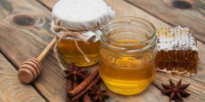 Медовый Спас: как отличить дикий мед и мед с пасеки