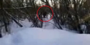 Кузбасский школьник запечатлел на видео снежного человека