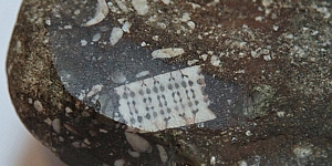 На Кубани обнаружен доисторический камень с необычным рисунком