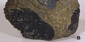 Метеорит "Ямато" - возможное доказательство существования жизни на Марсе