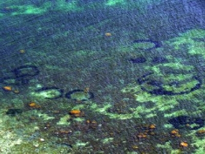 Круги под водой. Круги под водой.