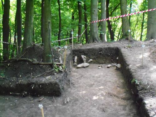 Раскоп древнего городища. Раскоп древнего городища.