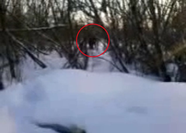Кадр из видеозаписи, запечатлевшей снежного человека на Кузбасе.