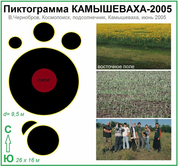 Июнь 2005, одна из двух питктограмм (на восточном поле) вблизи Камышевахи. Центр Формации обожжен. Все стебли подсолнечника толщиной 2-3 см согнуты под 90 градусов (не сломаны).