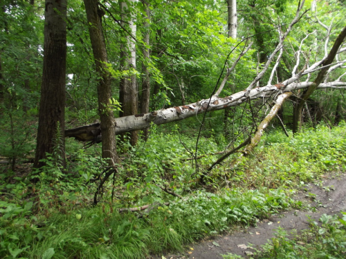 3645798_29.06.2014_novohopersk_03.png 3645798_29.06.2014_novohopersk_03.png