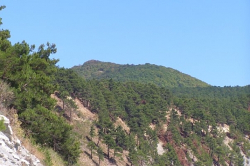 Вид на гору Арарат в Геленджикском районе.