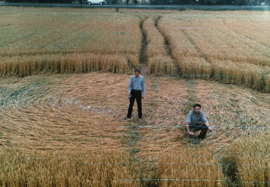 1999, Новокубанск, круг на поле