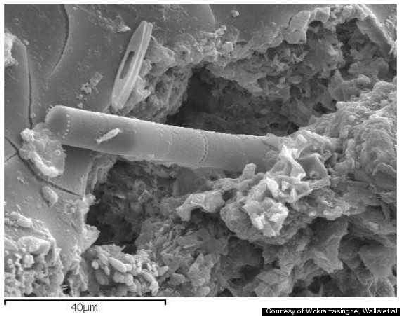внутренняя структура метеорита под микроскопом