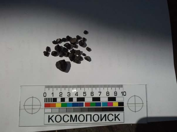 Осколки метеорита, найденные в ходе экспедиции.