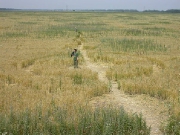 июнь 2004, Знаменский.