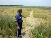 июнь 2004, Знаменский.