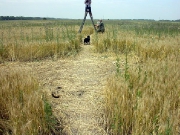июнь 2004, Знаменский.
