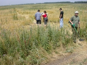 июнь 2004, Знаменский.