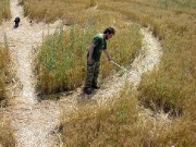 июнь 2004, Знаменский.
