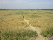 июнь 2004, Знаменский.