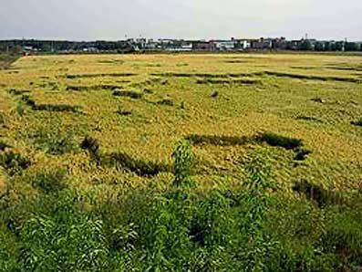 Формация под Кольцово. 