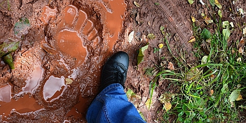 4377529_22.10.2015_bigfut_01.jpg