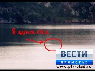 Подводный монстр из озера Девятка