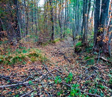 3863173_28.10.2014_grud_01.jpg