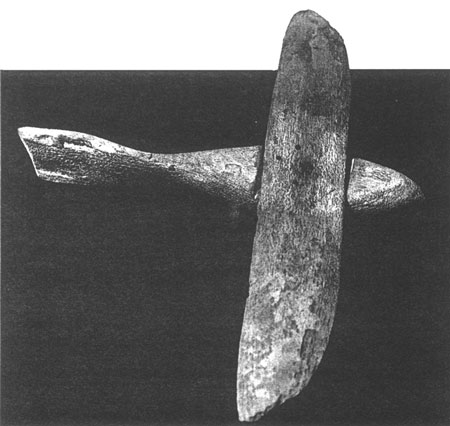1-pseudoplaner.jpg 1-pseudoplaner.jpg