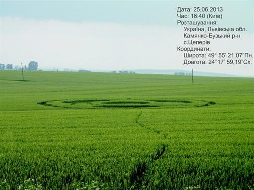 Вид на круги на полях. 